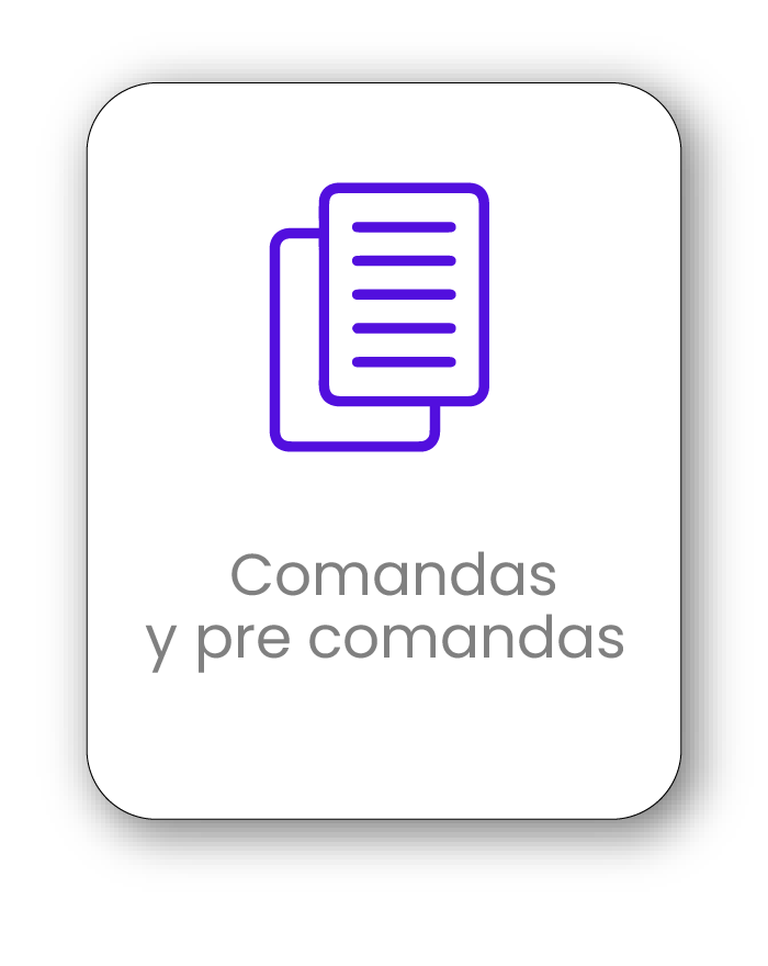 Comandas y pre comandas